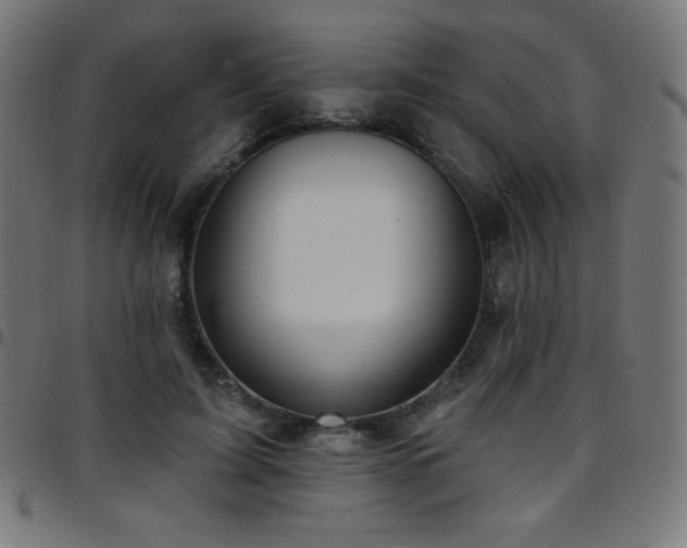X0000097750595200803071250