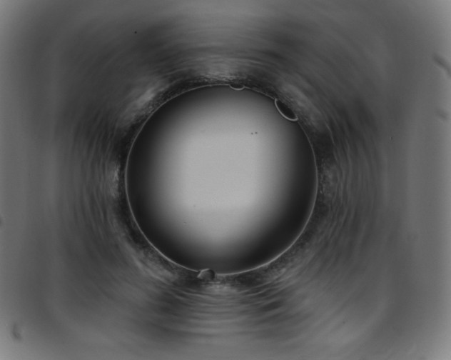 X0000097750596200803071250