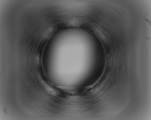 X0000097750597200803071250