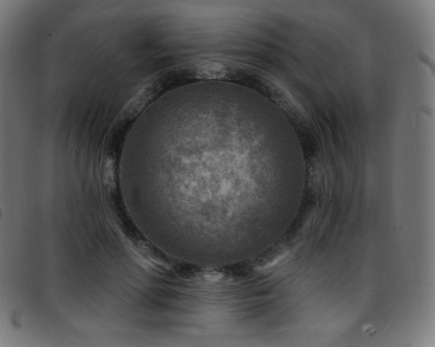 X0000097750598200803071250