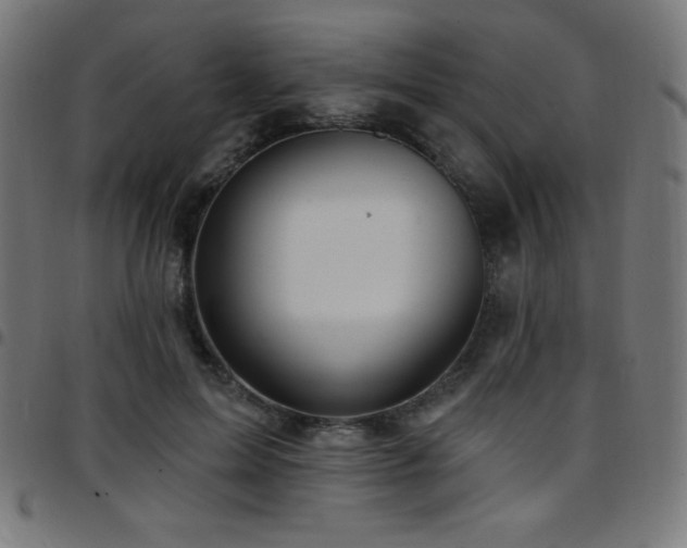 X0000097750599200803071250