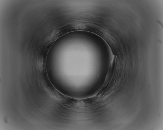 X0000097750600200803071250