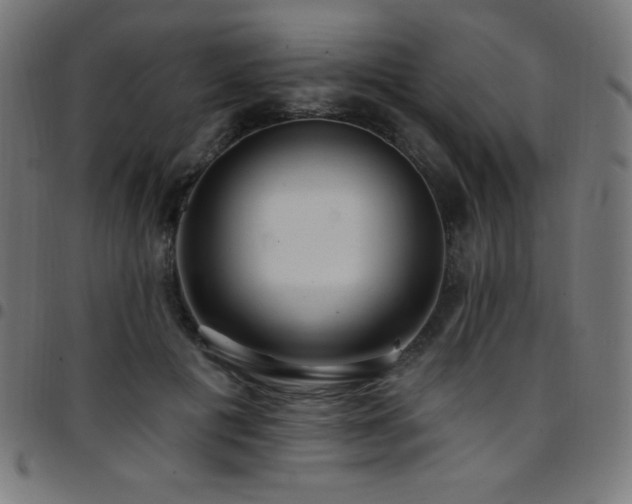 X0000097750601200803071250