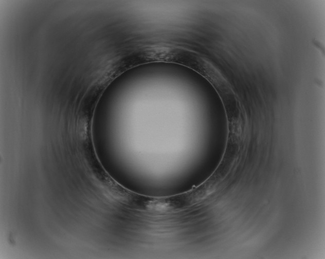 X0000097750602200803071250