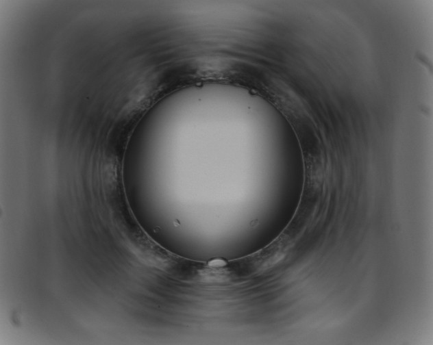 X0000097750603200803071250