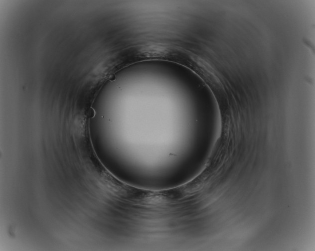 X0000097750604200803071250