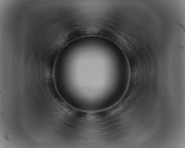 X0000097750608200803071250