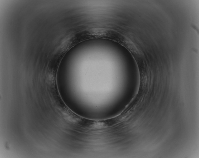 X0000097750609200803071250
