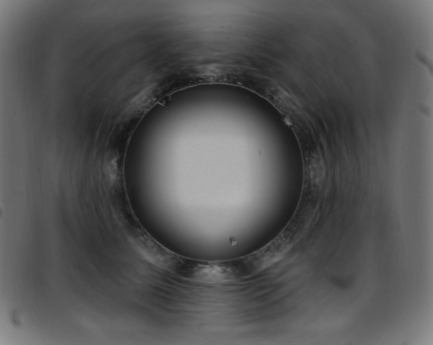 X0000097750611200803071250