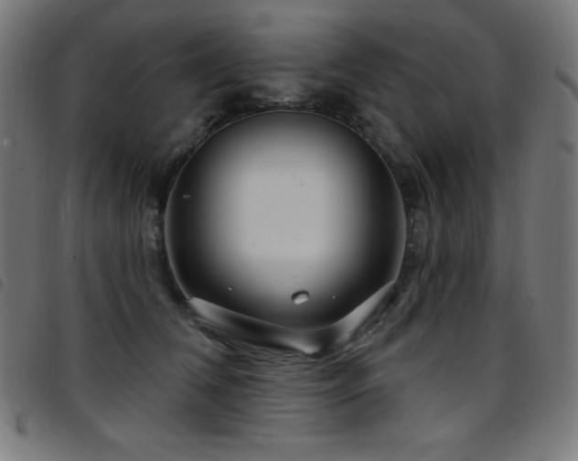 X0000097750612200803071250