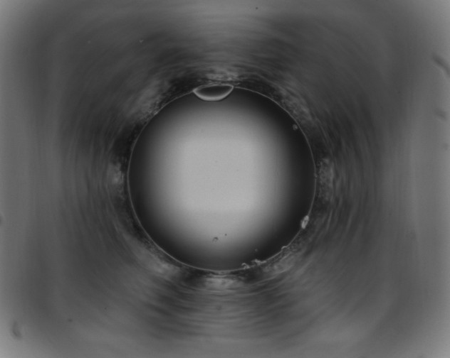 X0000097750614200803071250