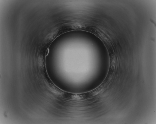 X0000097750616200803071250