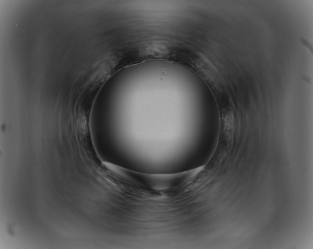 X0000097750617200803071250