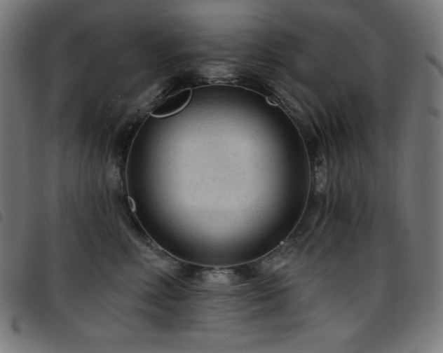 X0000097750618200803071250