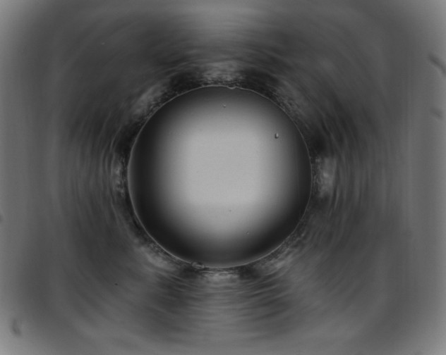X0000097750619200803071250