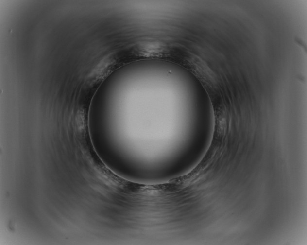 X0000097750620200803071250
