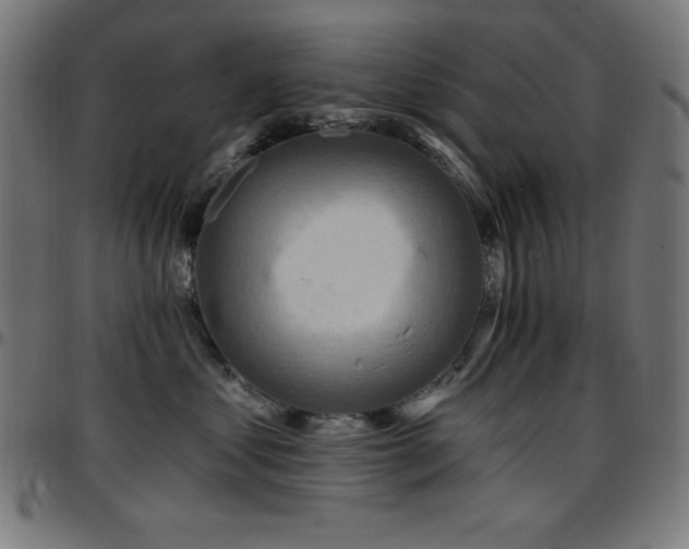 X0000097750621200803071250