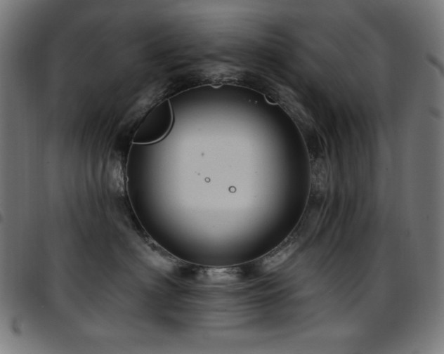 X0000097750622200803071250