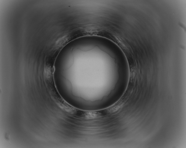 X0000097750623200803071250