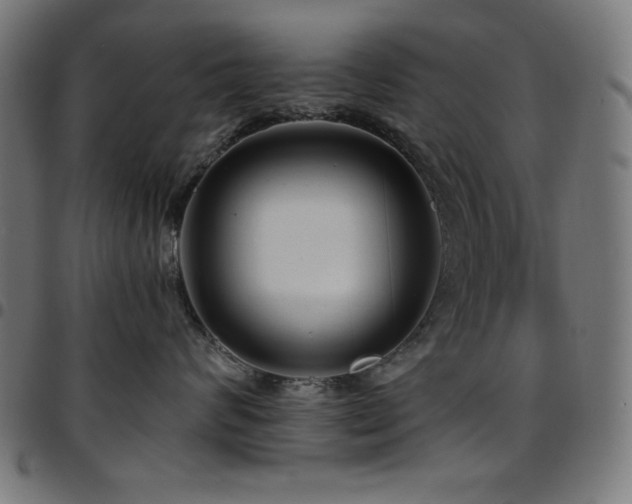 X0000097750624200803071250