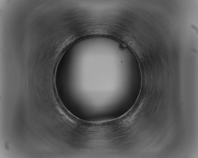 X0000097750625200803071249