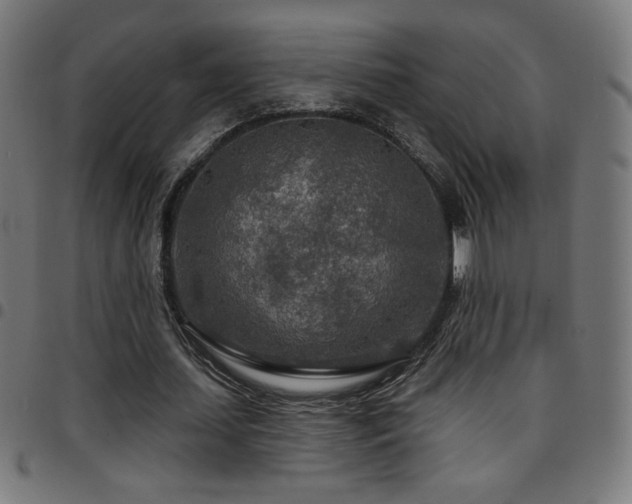 X0000097750627200803071249