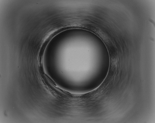 X0000097750628200803071249