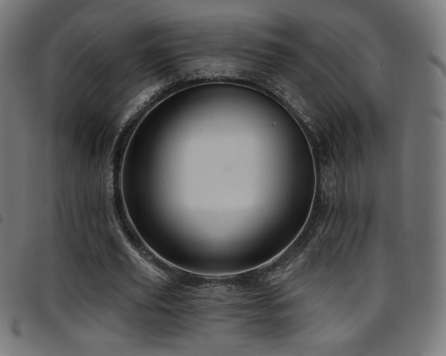 X0000097750629200803071249