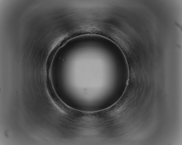 X0000097750630200803071249