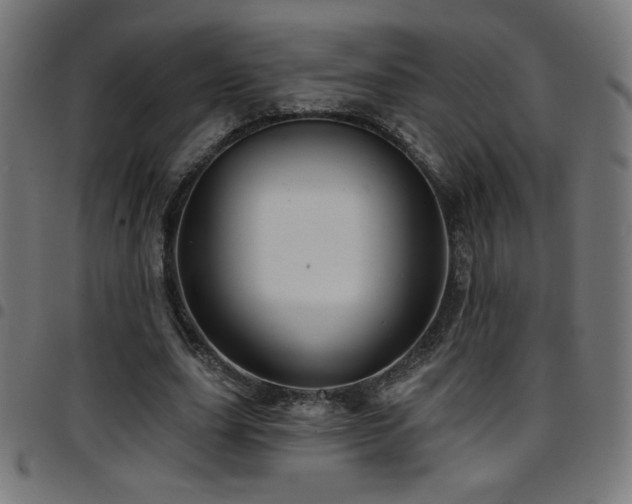 X0000097750631200803071249