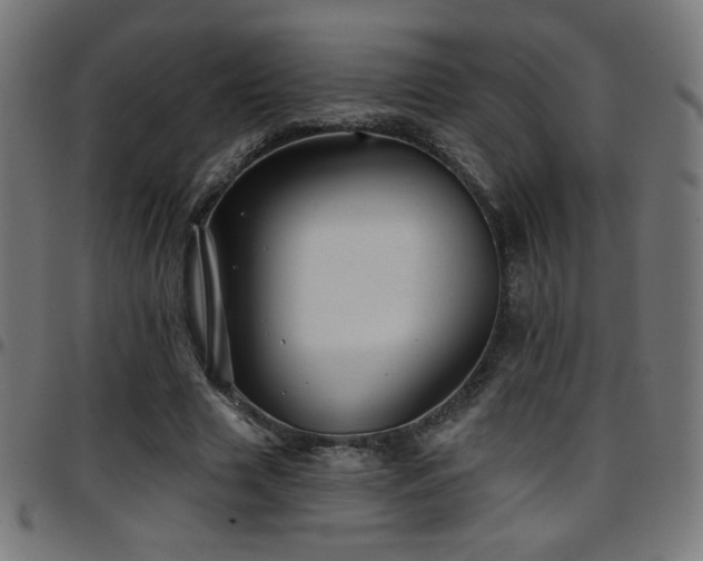 X0000097750633200803071249