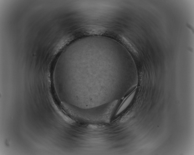 X0000097750634200803071249