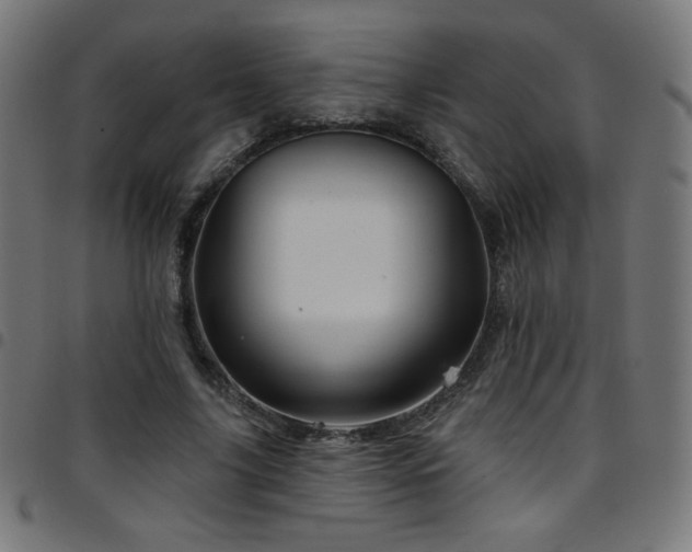 X0000097750635200803071249
