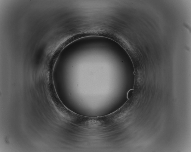 X0000097750636200803071249