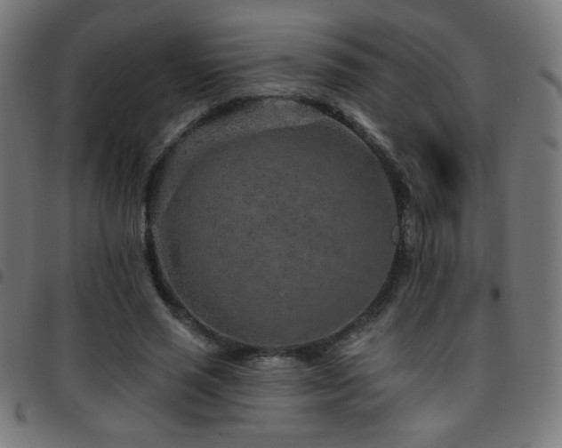 X0000097750637200803071249