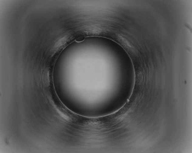 X0000097750638200803071249