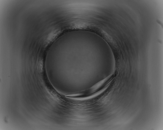 X0000097750640200803071249