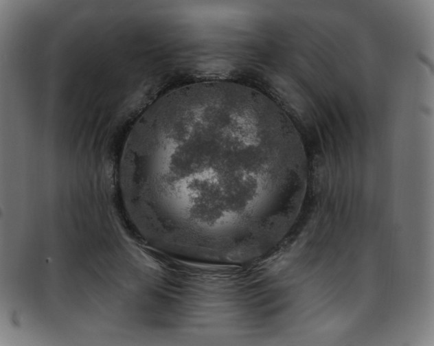 X0000097750641200803071249