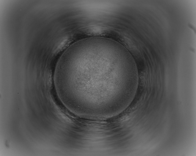 X0000097750642200803071249