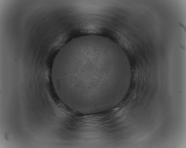 X0000097750643200803071249