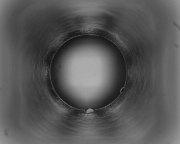 X0000097750645200803071249