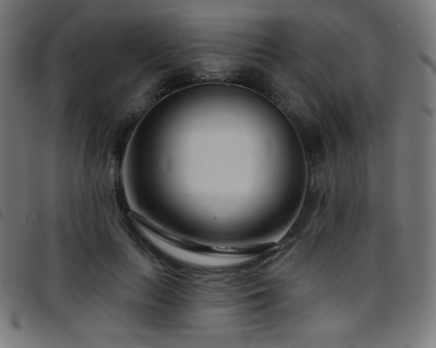 X0000097750647200803071249