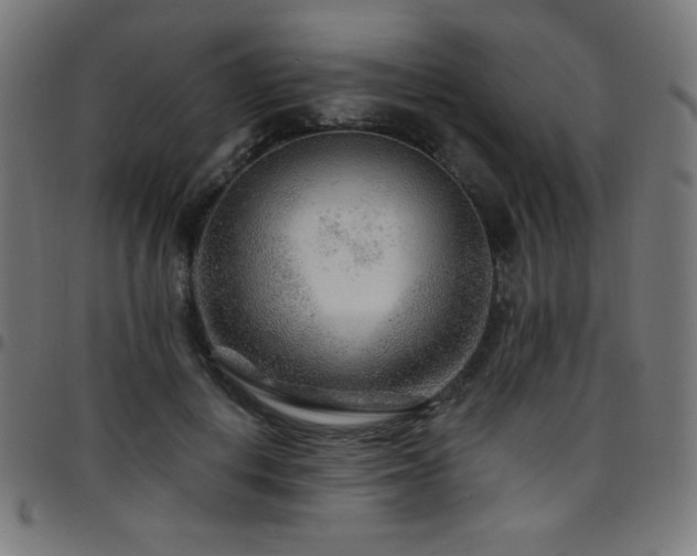 X0000097750648200803071249