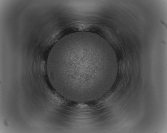 X0000097750650200803071249