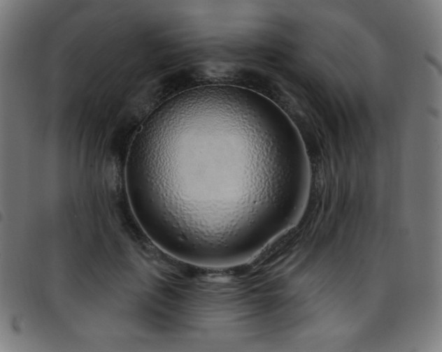 X0000097750651200803071249