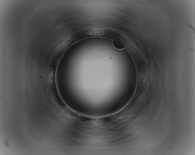 X0000097750652200803071249