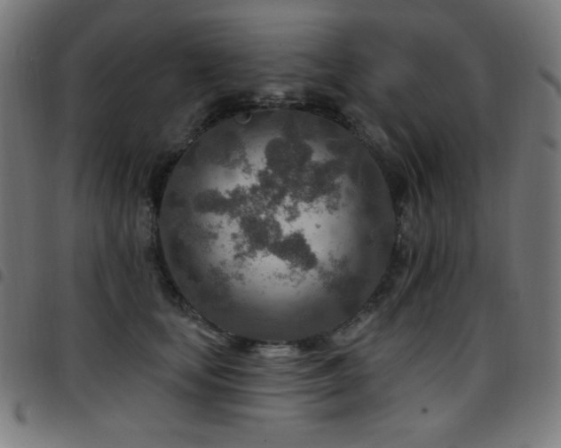 X0000097750659200803071249
