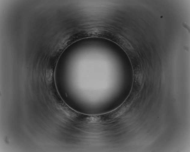 X0000097750660200803071249