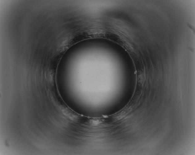 X0000097750662200803071249