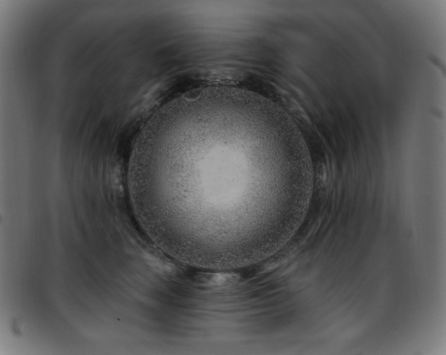 X0000097750663200803071249